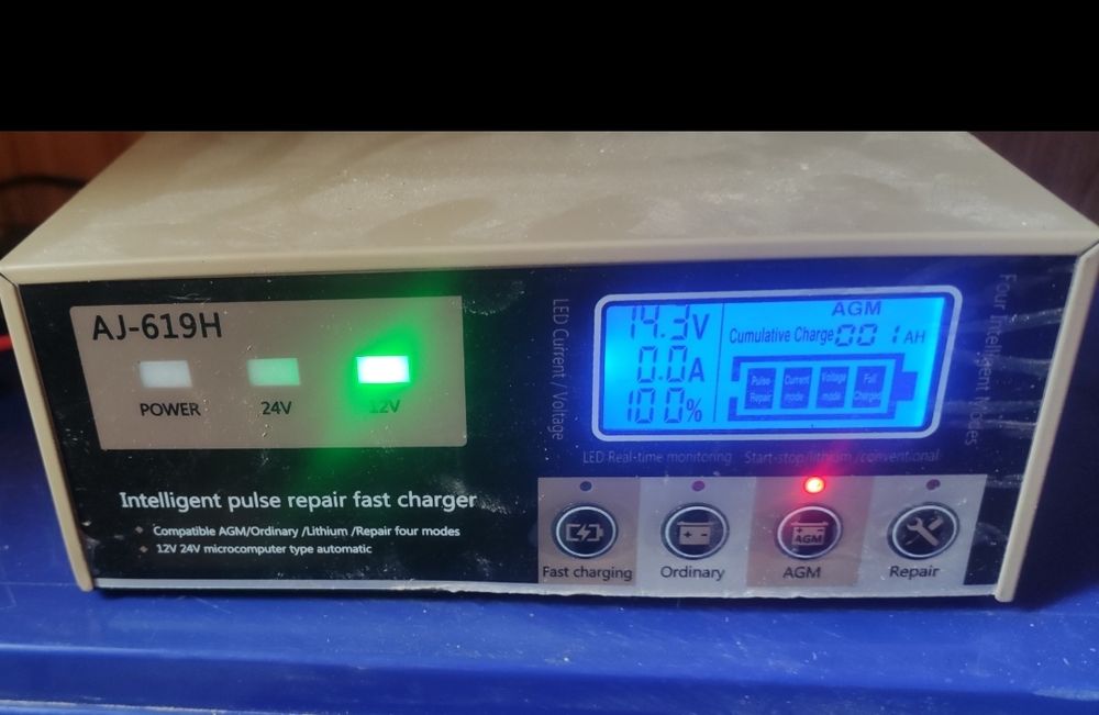 Зарядний імпульсний пристрій 20А.