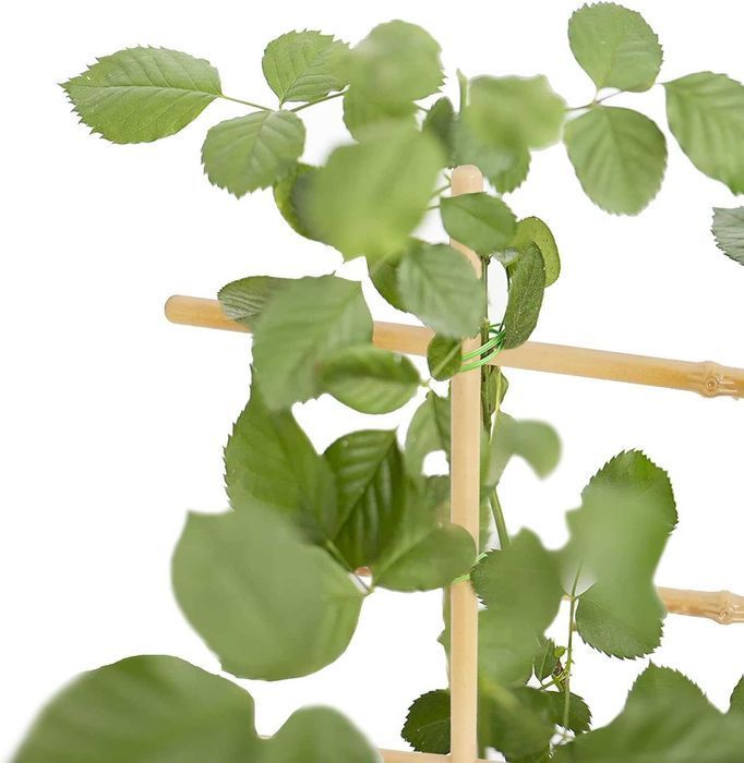 GARTOL - Podpora dla roślin pnących (25,5cm/3szt)