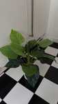 Sztuczna roślina doniczkowa - filodendron/monstera