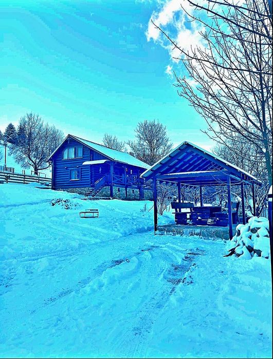 Будинок в Карпатах . Будинок в Верховині. . Етно-готель або житло.