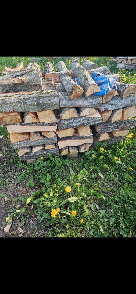 Drzewo, Drewno rąbane, Olcha, Olszyna