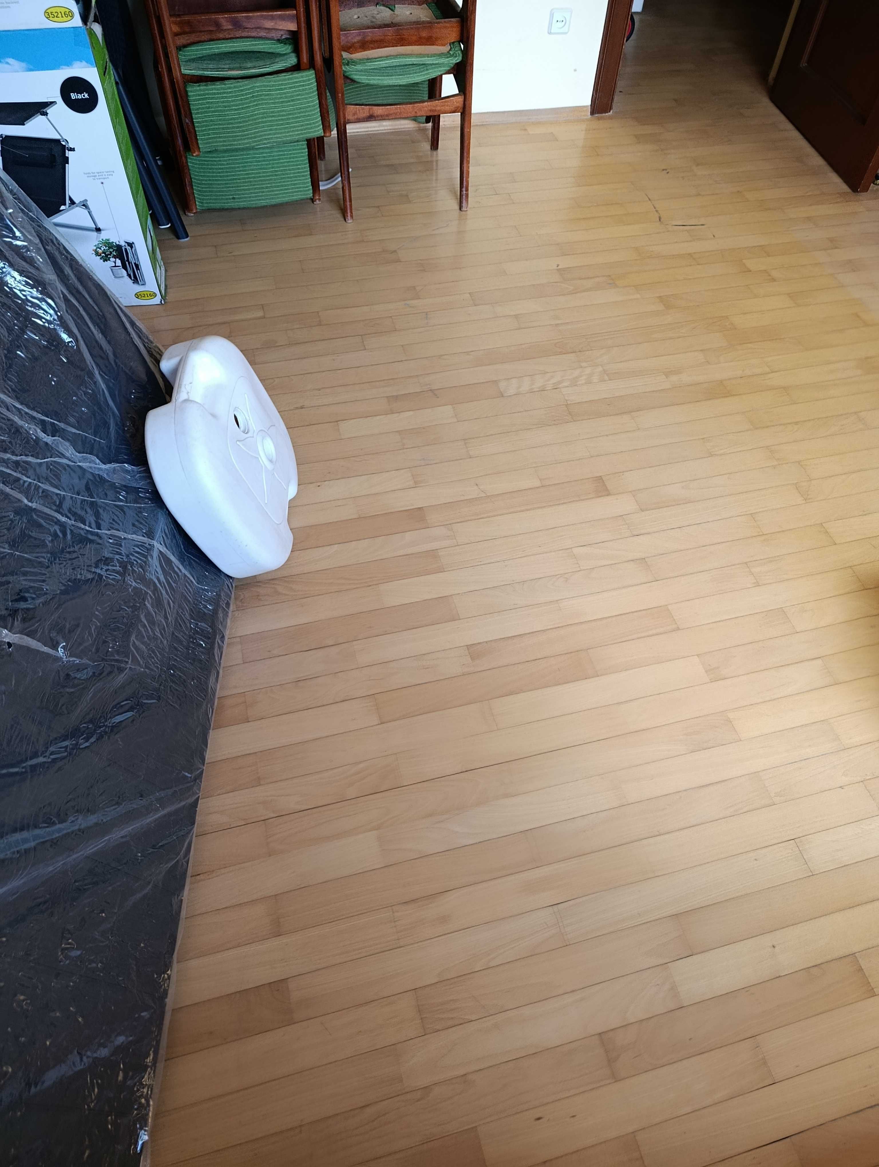 parkiet używany bardzo bardzo pilnie sprzedam