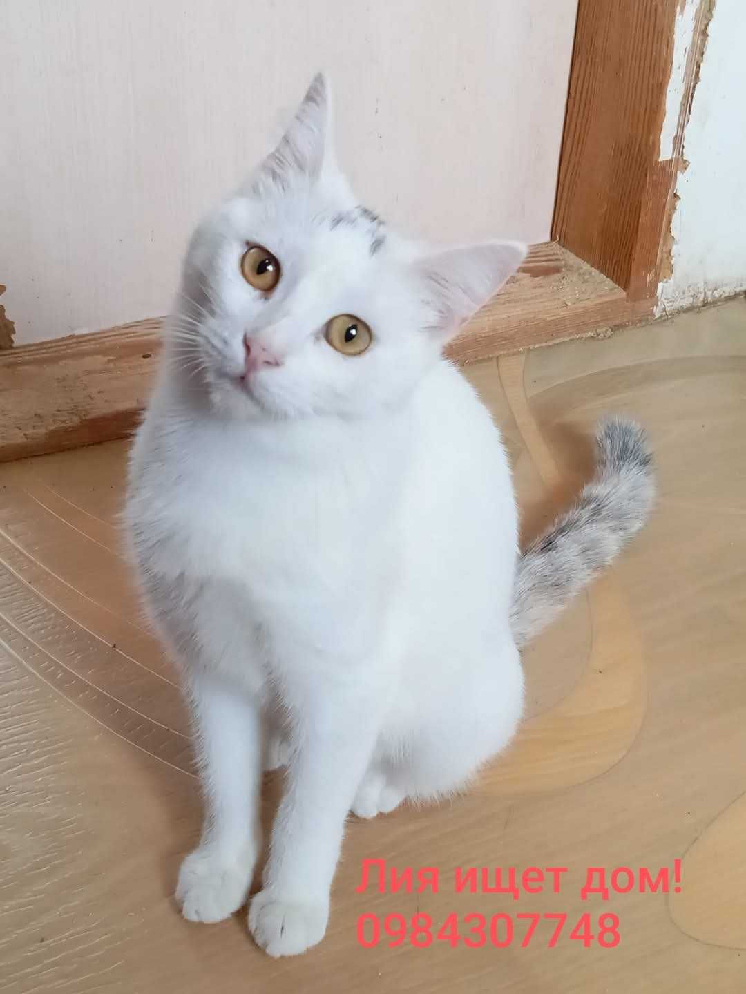 малышка Лия ищет любящую семью!