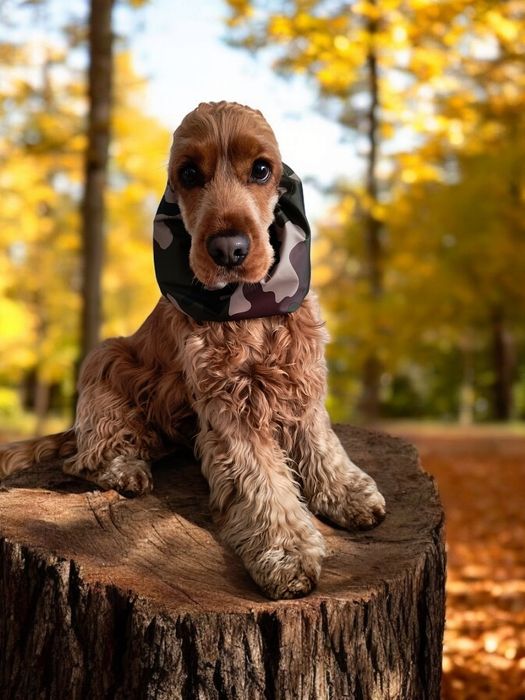 Nowy wodoodporny ortalionowy snood dla psa z długimi uszami spaniel