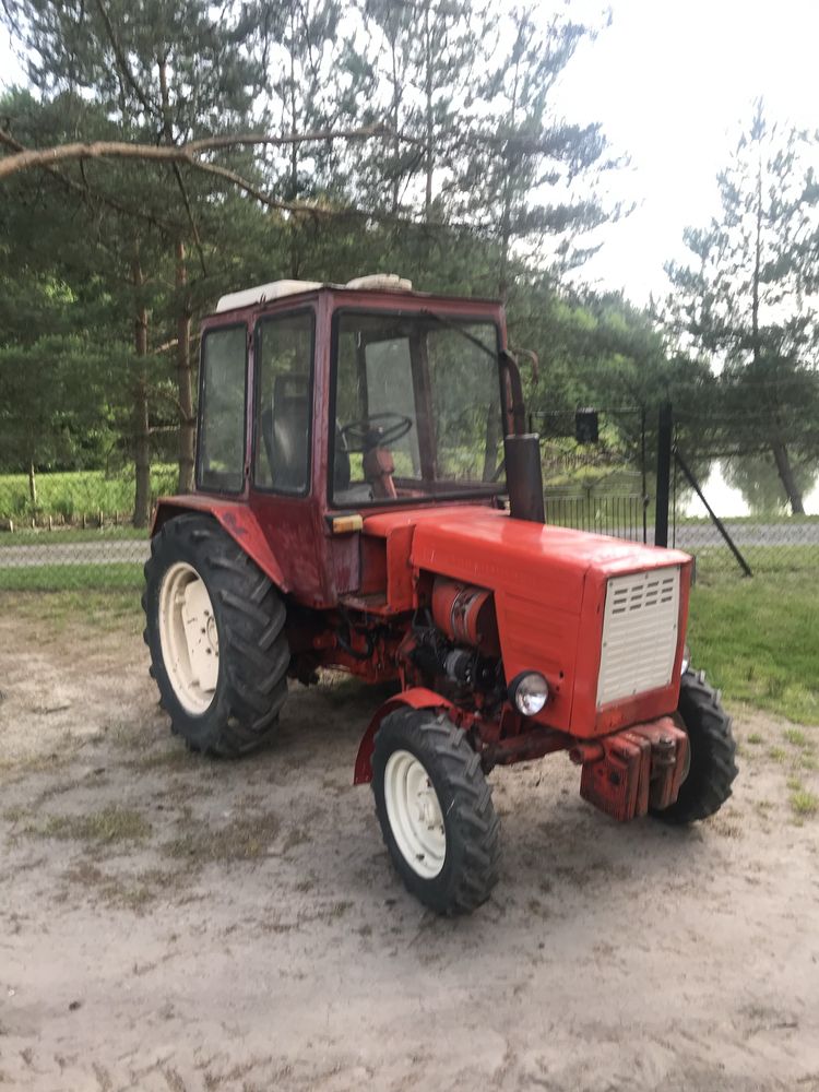 władimirec t25  t25