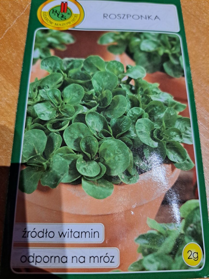 Rucola,rzeżucha,roszponka,szczaw,jarmuż