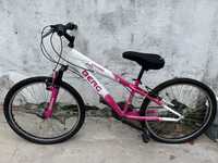 Bicicleta Senhora Berg