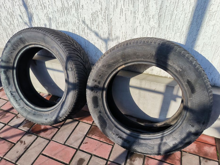 Скати зимові R 16