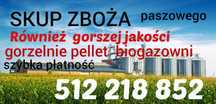 Pszenica Pszenżyto żyto jęczmień