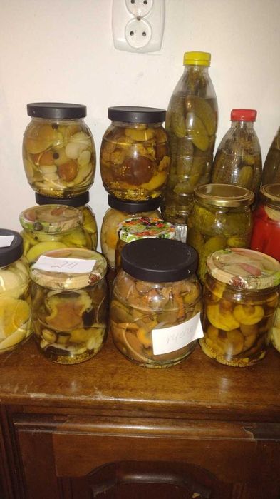 Grzyby leśne suszone i marynowane