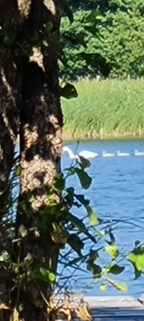 Działka Mazury linia brzegowa prywatna plaża jedyna taka okazja