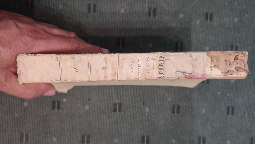 Opúsculos - J. Leite de Vasconcellos Vol VI Dialectologia Parte II