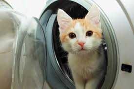 Naprawa Pralek Zmywarek Płyt Indukcyjnych Uszkodzonych Modułów