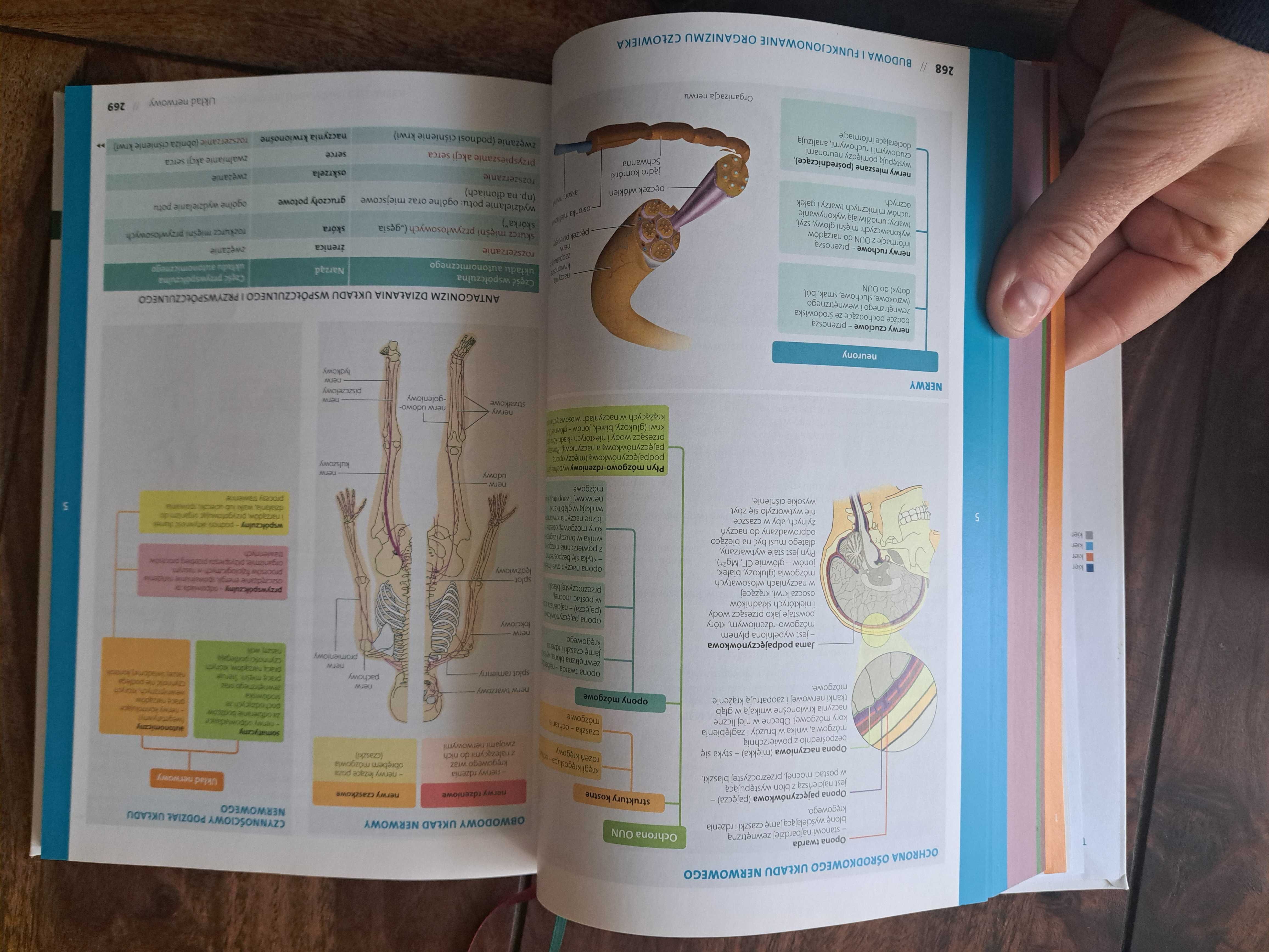 Matura Vademecum Biologia zakres rozsrzerzony  Operon