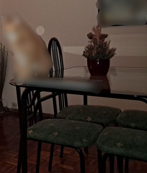 Mesa jantar + 4 cadeiras