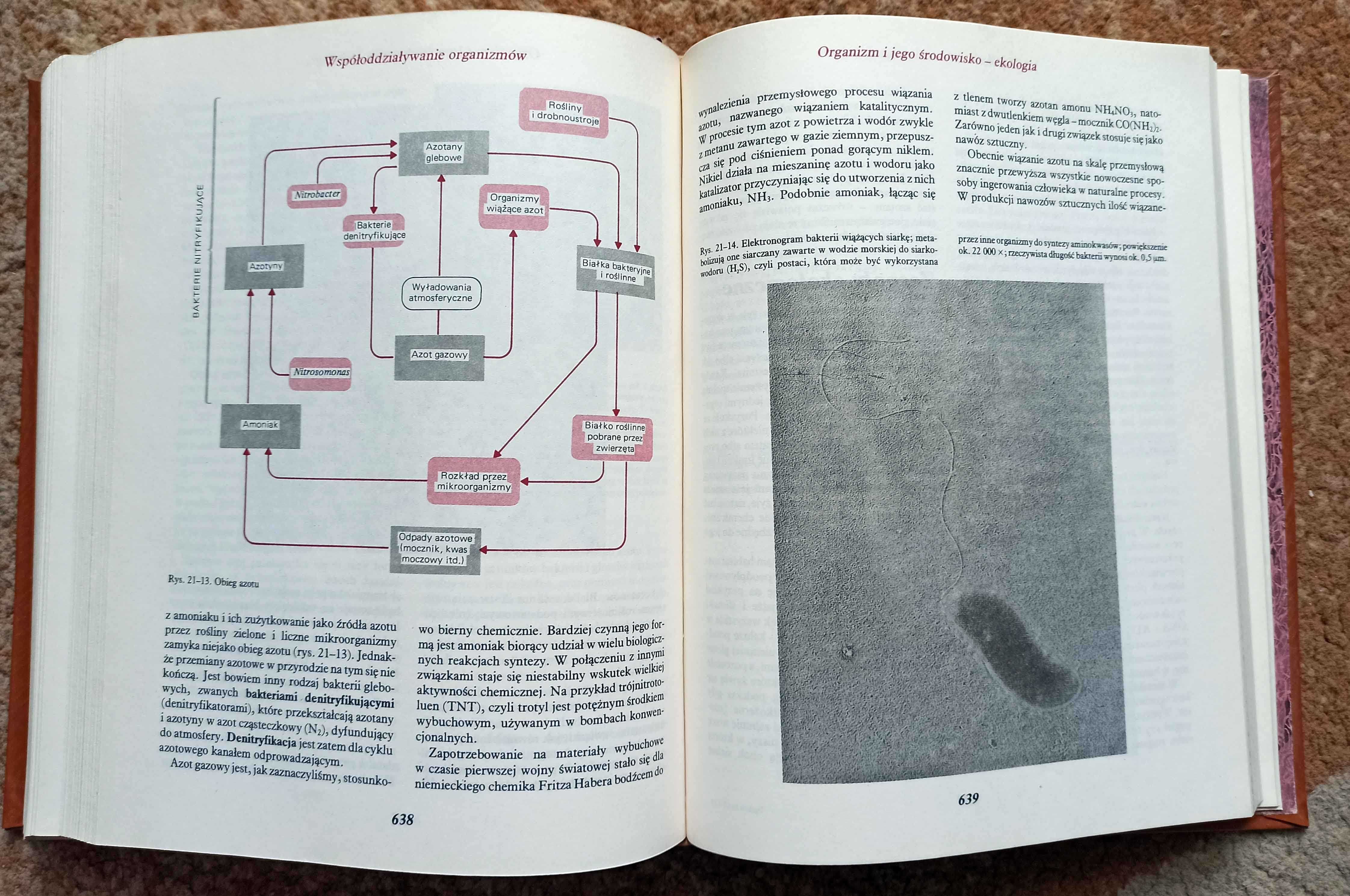 Świat biologii
Alvin Nanson i Robert L. Dehaan