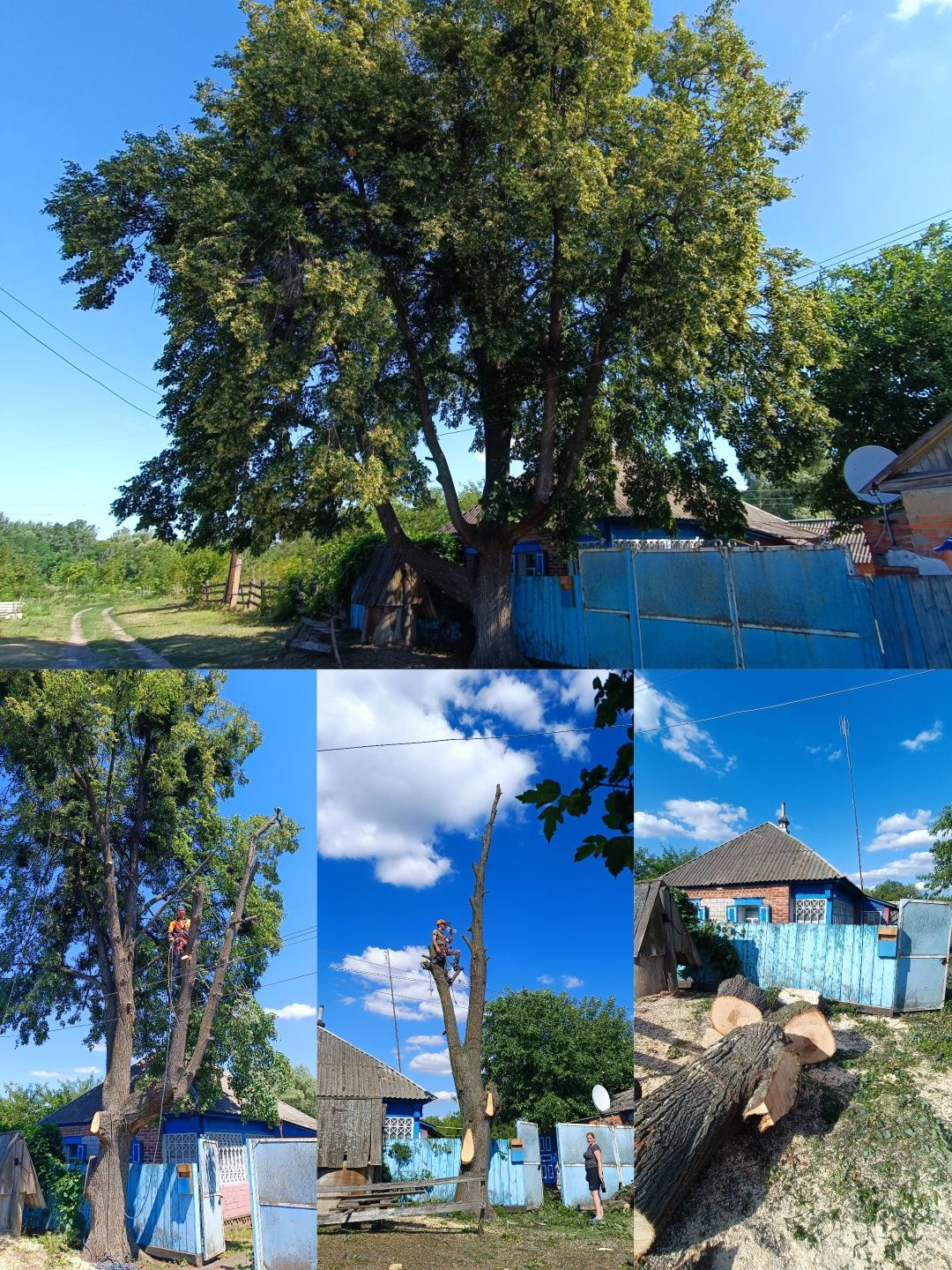 Зрізання дерев будь-якої складності, кронування, розчистка ділянок.