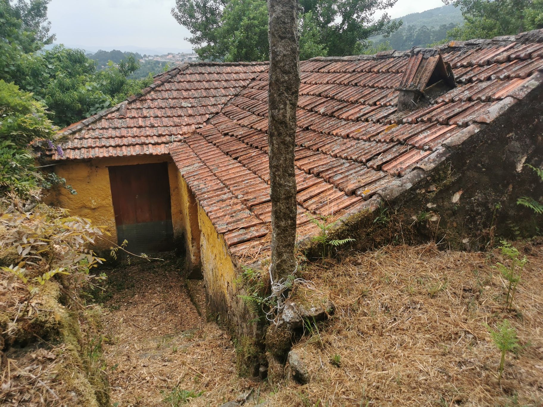 Quintinha em Sande