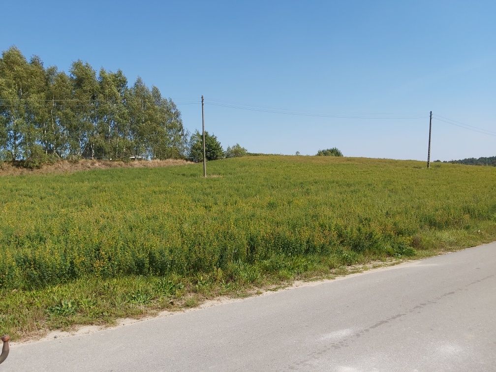 Działka siedliskowa 6060 m2