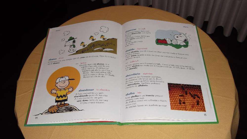 livro o Dicionário do Charlie Brown