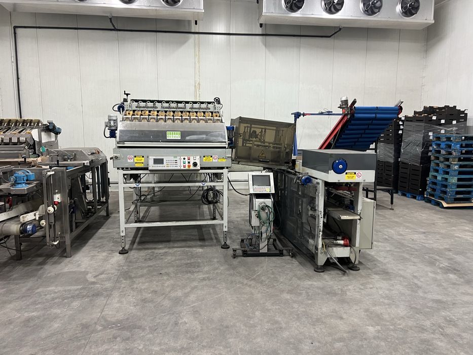 Linia do pakowania w torebki sorma sortownica