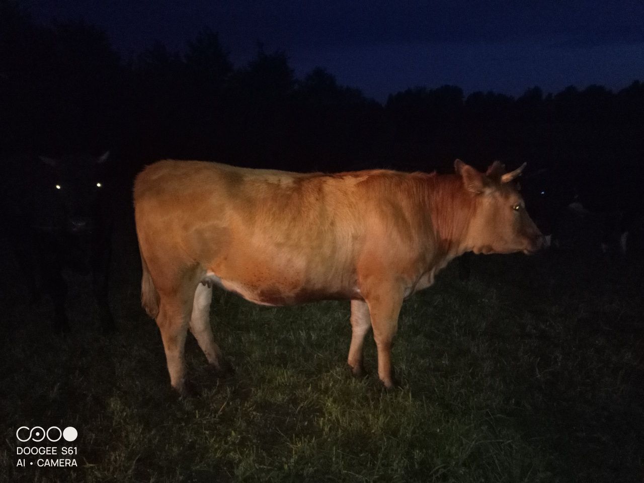 Tak jak w opisie   tylko konkrety