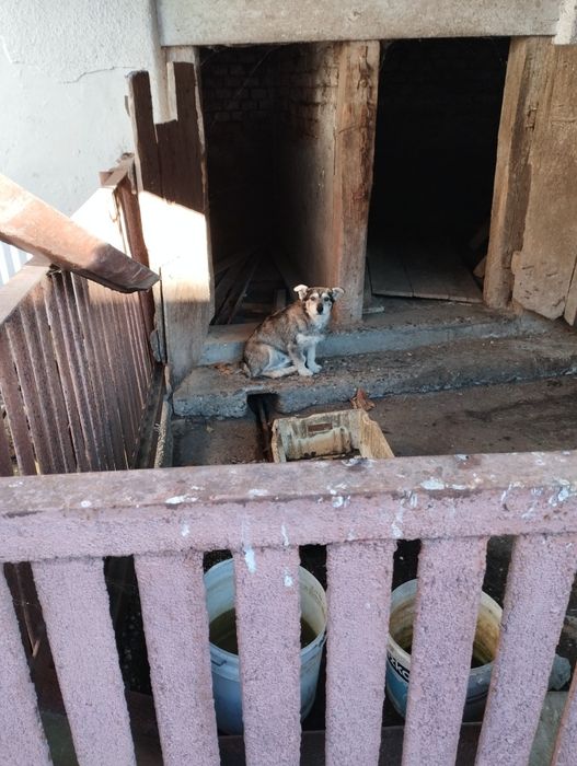 Продам дом Закарпатье ВелыкиБереги