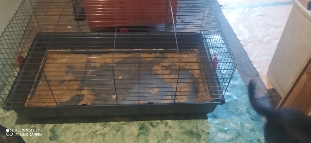 Klatka dla królika lub swinki