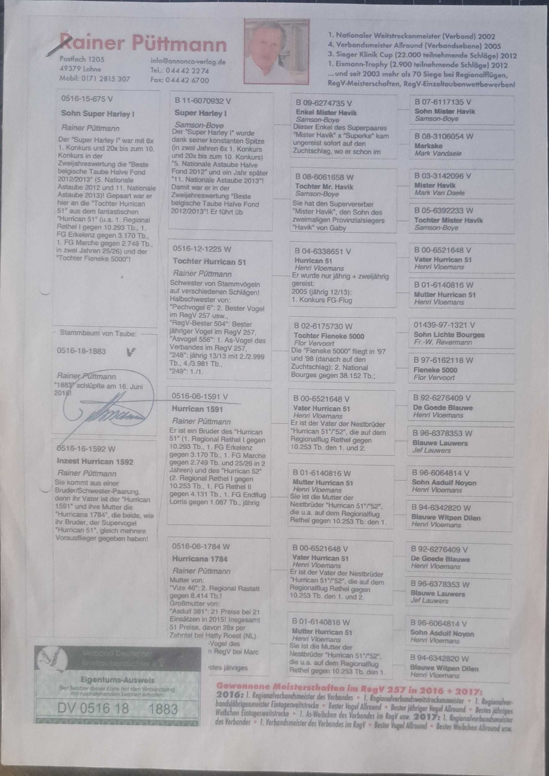 Super młode po top rodzicach !!! OKAZJA !!!