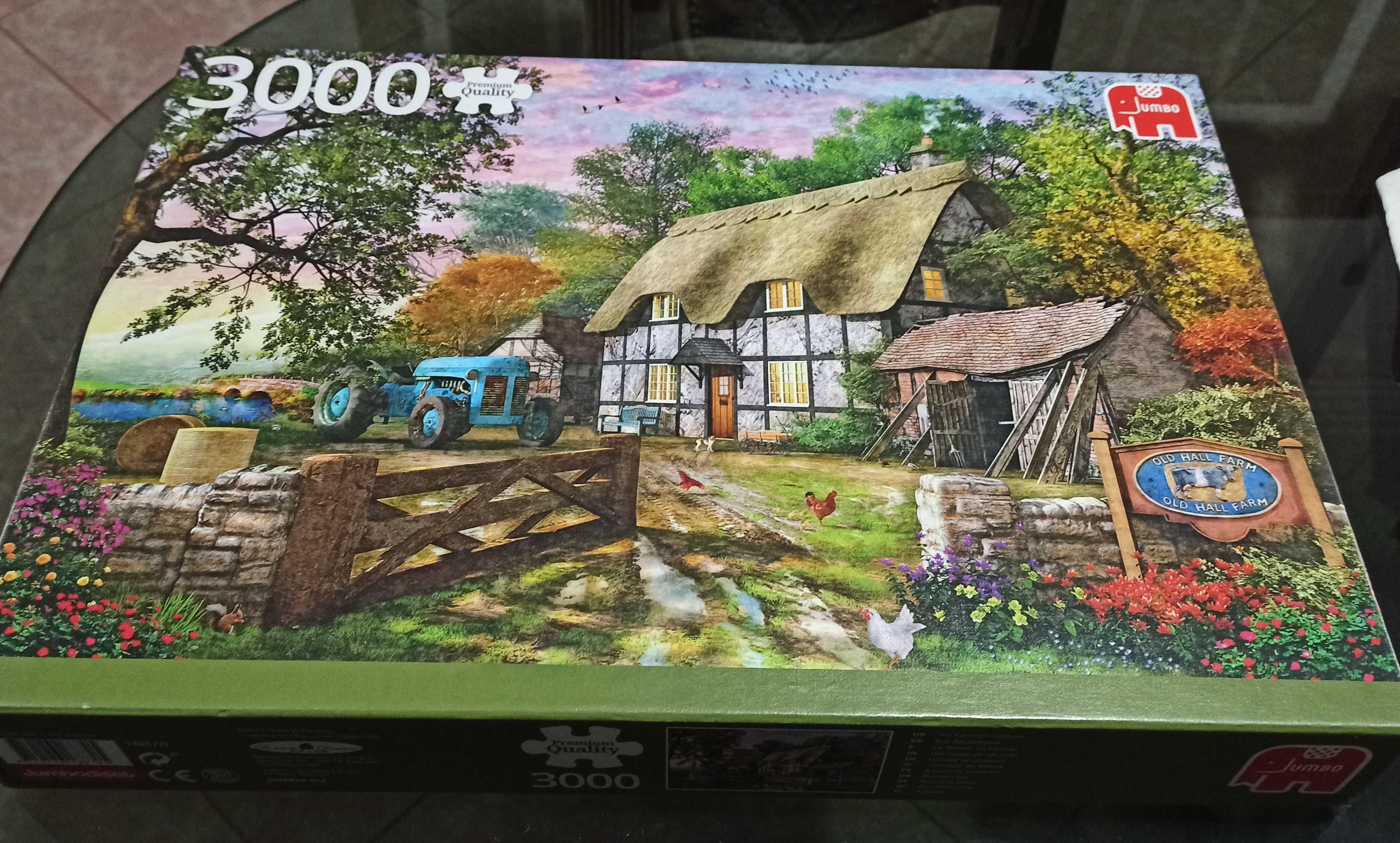 Puzzle 3000 peças