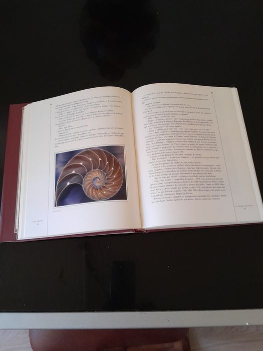 O código  Da Vinci edição especial ilustrada