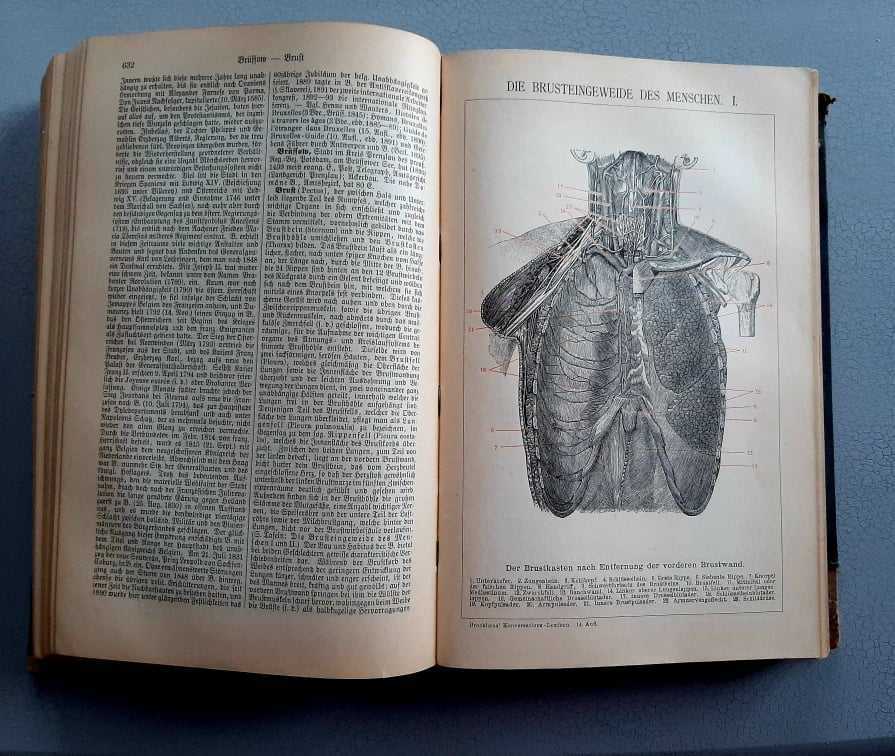 Encyklopedia Niemiecka –  1894 (Brockhaus Konversations Lexikon)