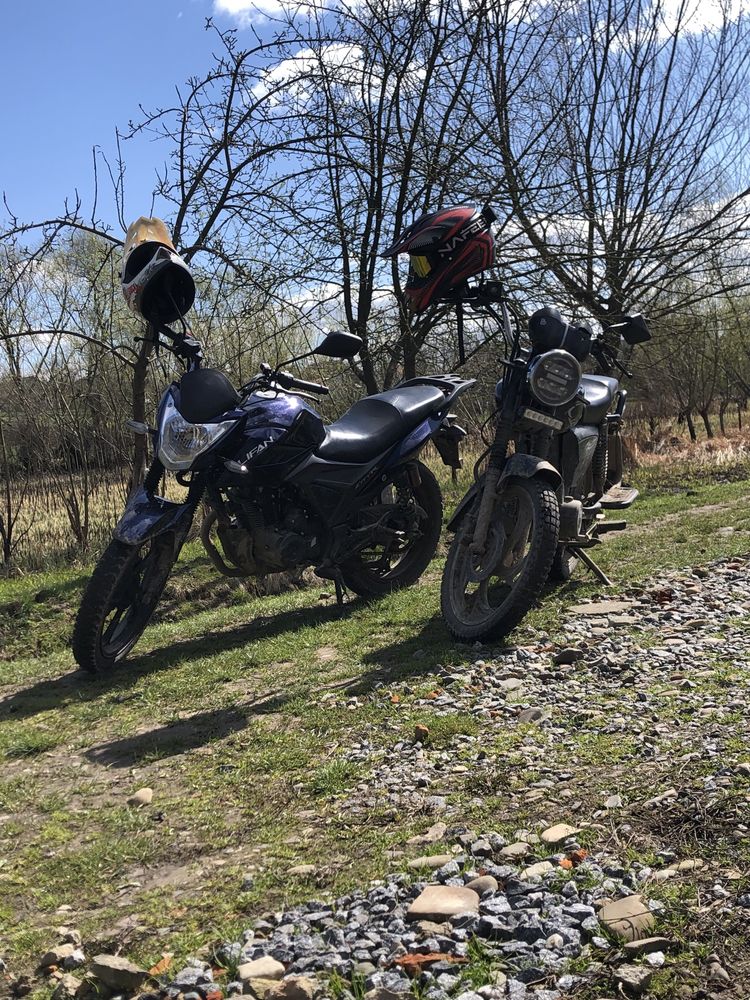 Продається альфа FIT