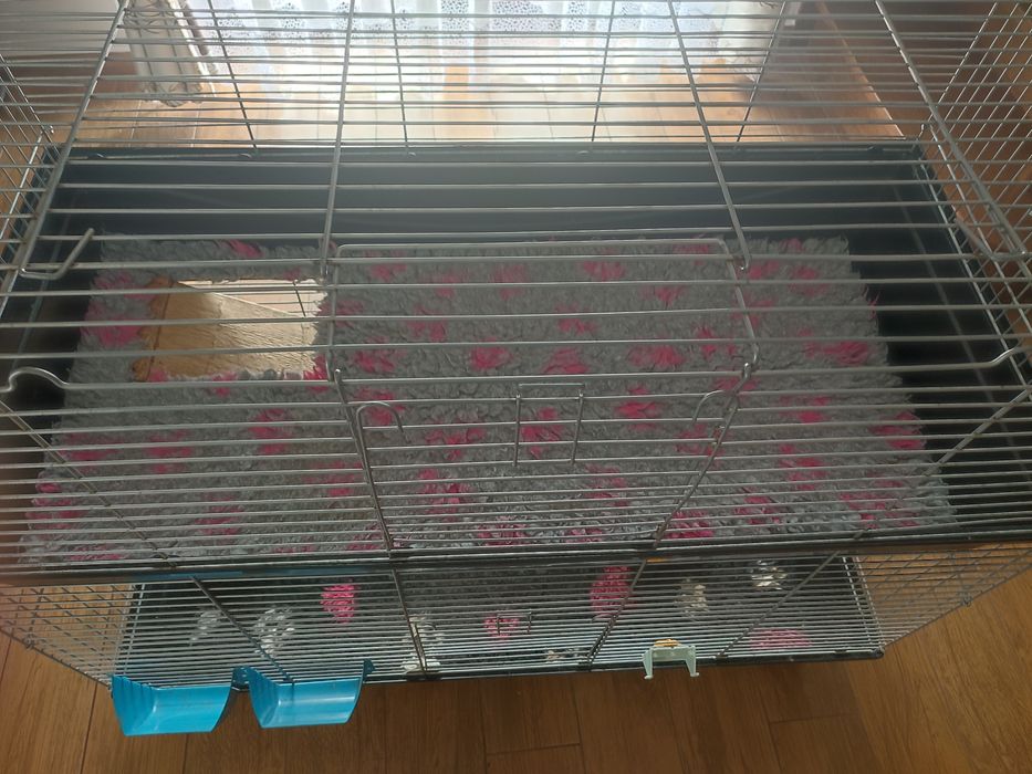 Duża klatka piętrowa 120 cm x 60 cm dla świnki morskiej, królika