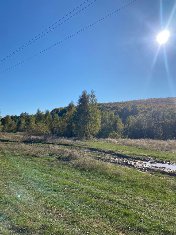 Продається будинок в горах та дві суміжні земельні ділянки