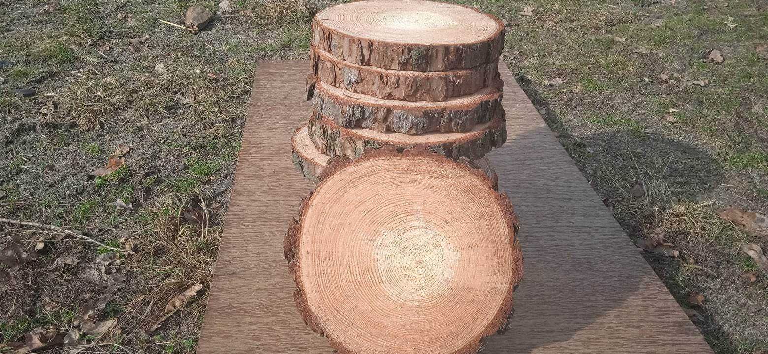 Plastry drewna, 20sztuk, 20-25 cm, dekoracje, na stroiki, krążki