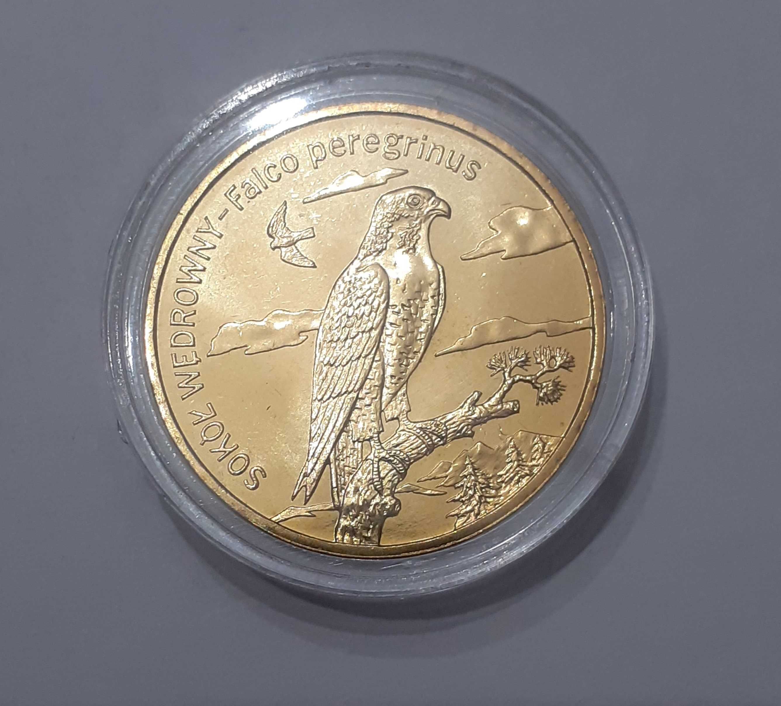 2 zł Sokół wędrowny 2008