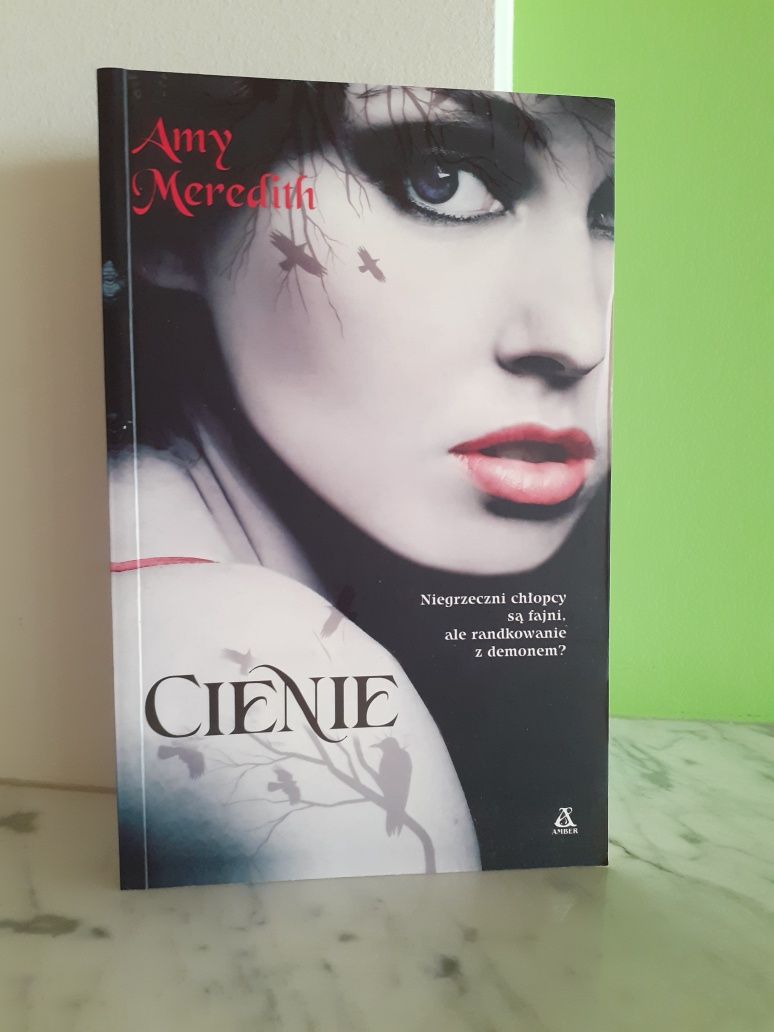 Amy Meredith CIENIE Randkowanie z Demonem +paczka długopisów