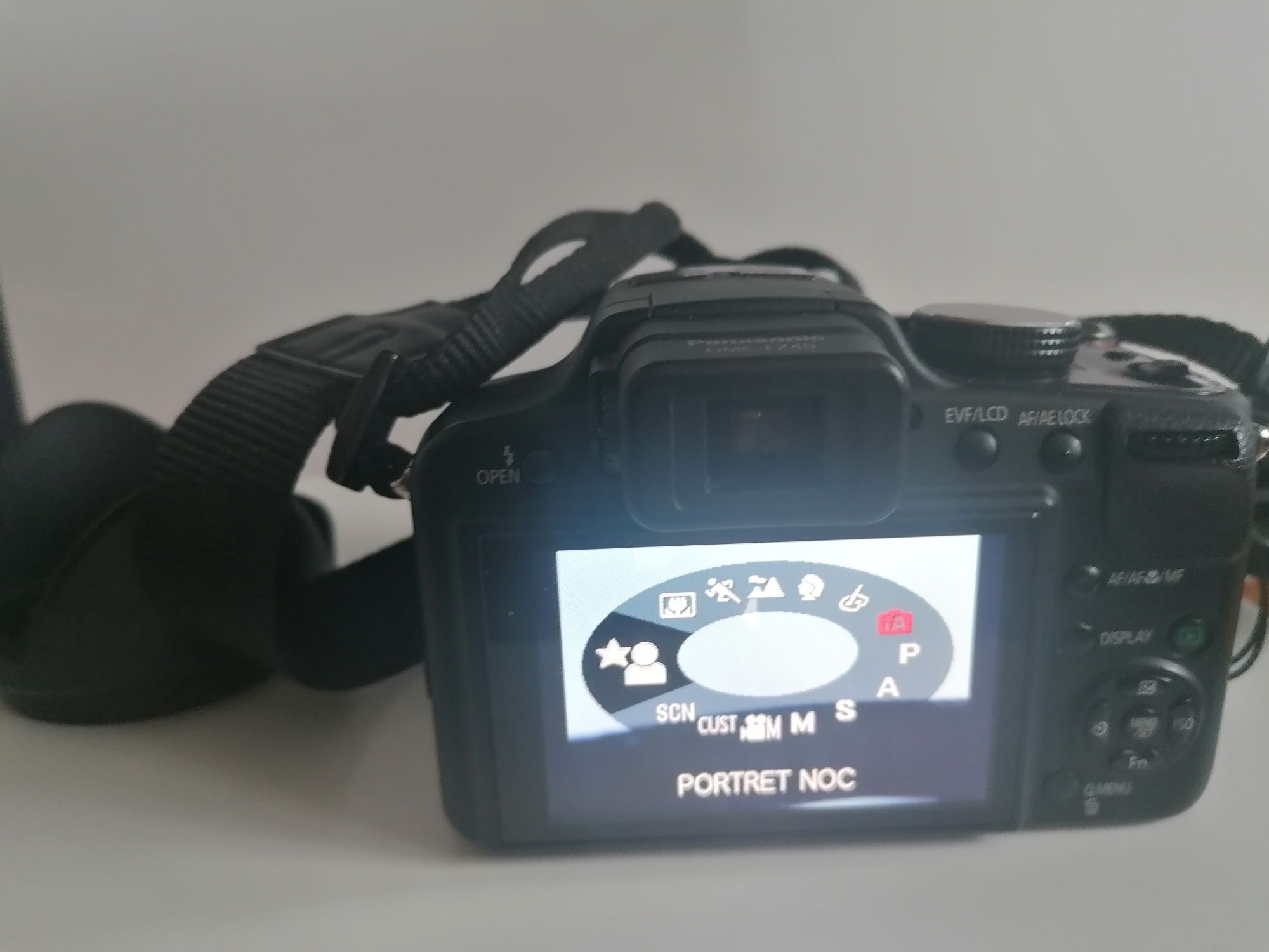 Panasonic lumix fz 45