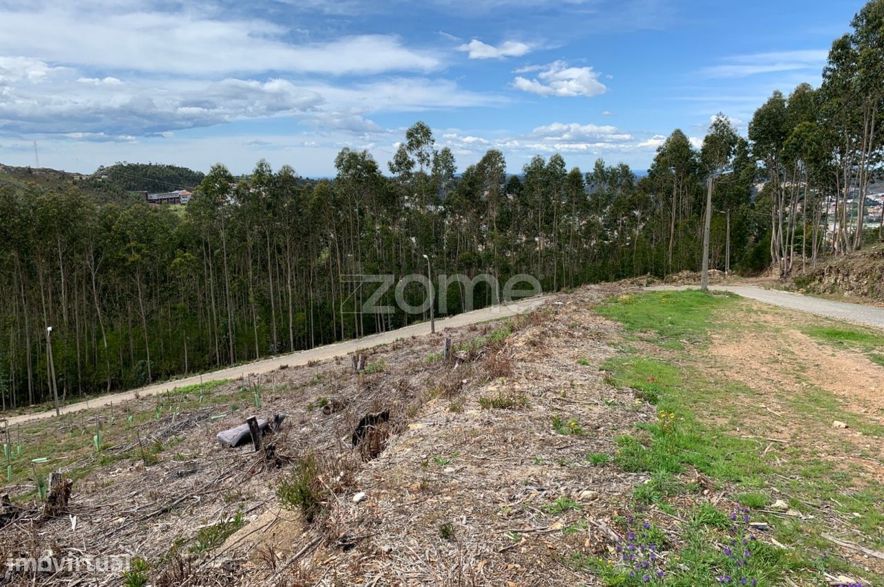 Terreno para exploração florestal e agrícola - Santa Justa, Valongo