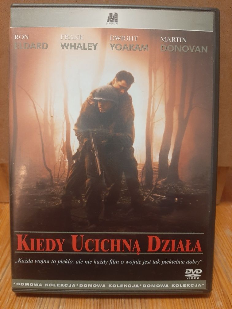 Film Kiedy ucichną działa