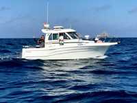 Vendo barco Starfisher 840 WA
