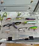 Amostras pesca achigã etc