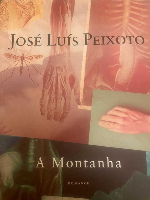 A Montanha José Luís Peixoto