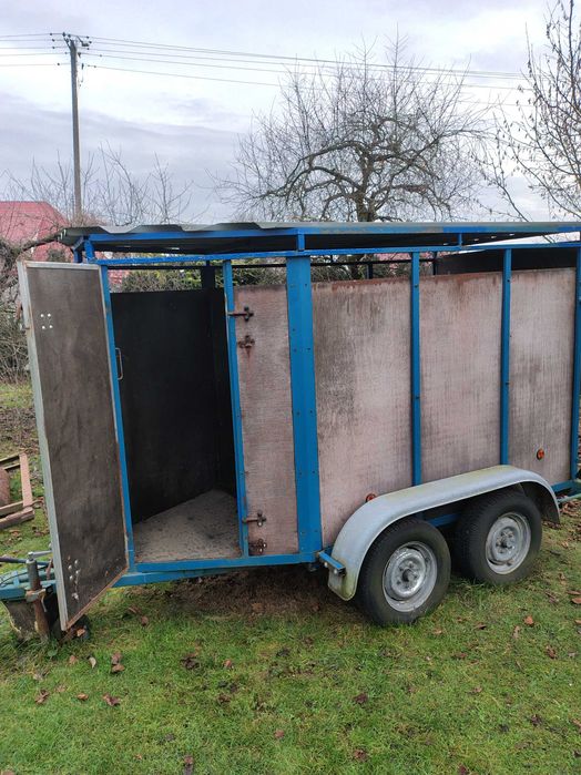 Przyczepa do przewozu koni