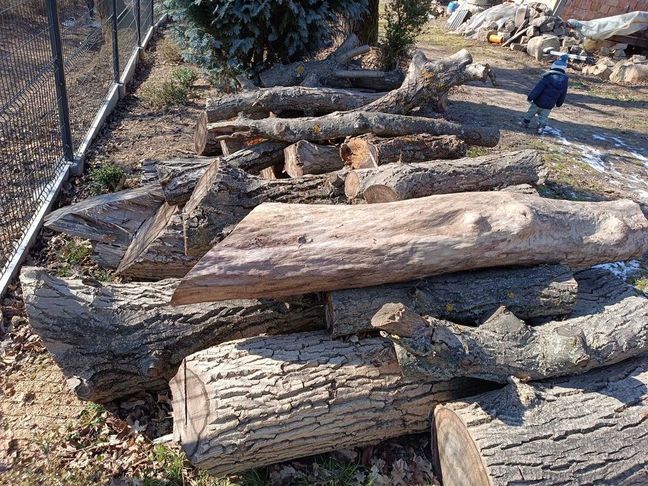 Sprzedam drewno orzechowe  - kłody