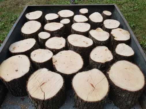 Sucha grusza gruszka drewno opałowe gruszy do wędzenia wędzarni