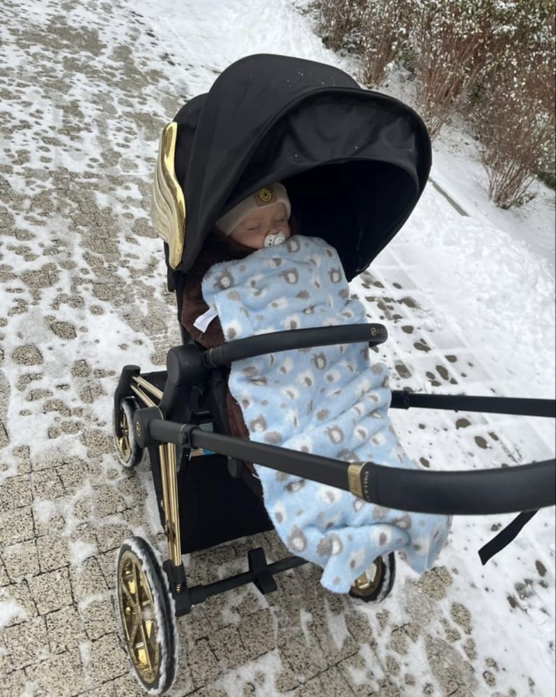 Cybex Priam wings by Jeremy Scott