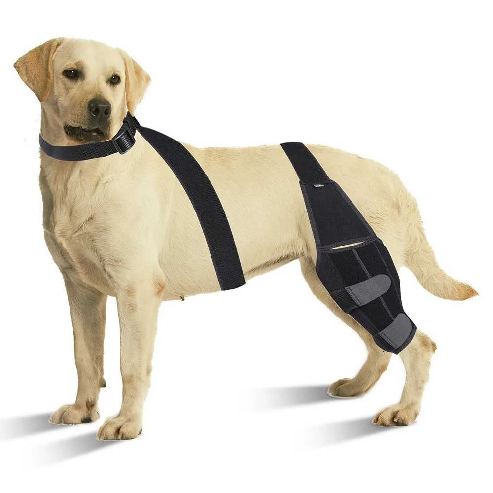 Наколенник бандаж для собак для восстановления сустава после травм SML
