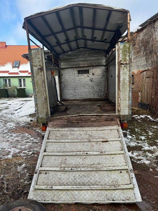 VW LT 46 Koniowóz kontener przewóz zwierząt żywcówka aluminium